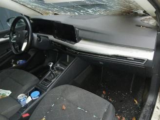 Volkswagen Golf Golf VIII Variant (GC5), Combi, 2020 2.0 TDI BlueMotion 16V picture 17