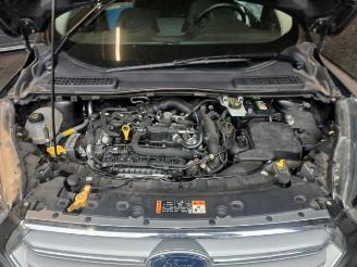 Ford Kuga Kuga II (DM2), SUV, 2012 1.5 EcoBoost 16V 120 picture 15