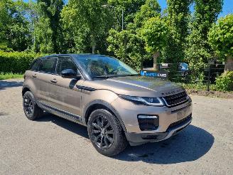 Coche accidentado Land Rover Range Rover Evoque 20d 110KW AWD Aut. Pano 2019/2