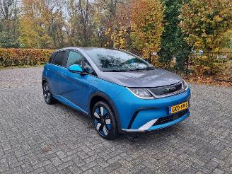 Auto incidentate BYD Dolphin 60.4 kWh Pano Led Navi Camera 2024/9