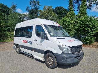 uszkodzony samochody osobowe Mercedes Sprinter 314 CDI Aut 9 Stoelen + Rolstoellift 2017/11
