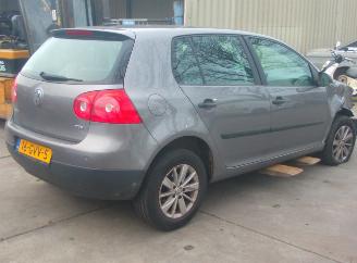 Volkswagen Golf  picture 4