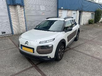  Citroën C4 cactus Camera!Navi! Riem v.v. 2015/1