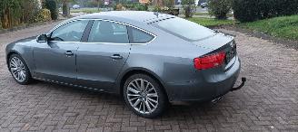 Audi A5 Sportback bj:02-2016 2.0-TDI Automaat Navigatie Climatecontrol CruiseControl Stoelverwarming Lichtautomaat Bi-xenon met Led Led-Achterlichten Trekhaak Mistlampen picture 3