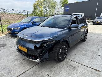 Kia e-Niro Exetive Line 64.8 kWh -LEDER-SCHUIFDAK-NAVI-CAMERA picture 2