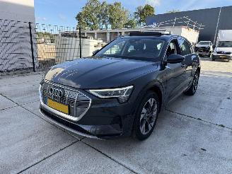 Unfallwagen Audi E-tron 50 Quatro Launch Edition Plus 71 kWh PANO-LEDER-NAVI 2019/12