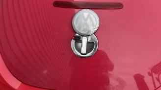 Volkswagen Beetle New Beetle (9C1/9G1), Hatchback 3-drs, 1998 / 2010 1.9 TDI 90 picture 16