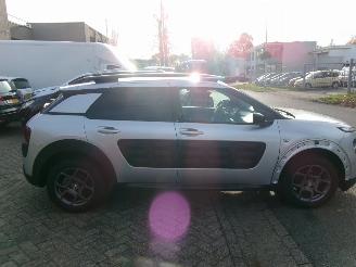 Citroën C4 cactus 1.2 PURETECH BUSINESS CLIMA NAVI PANO picture 6