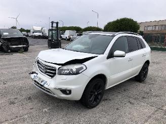 Renault Koleos 2.0 DCI  BOSE picture 3
