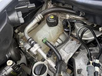 Renault Scenic PRIVILEGE picture 34