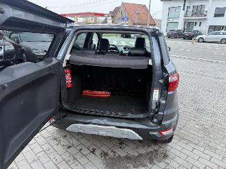 Ford EcoSport 1.0 picture 23