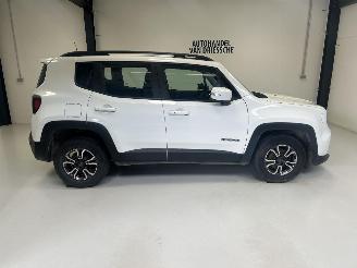 Jeep Renegade  picture 2