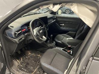 Dacia Duster  picture 12