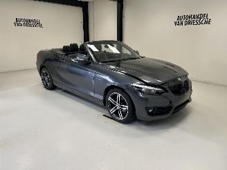 Schadeauto BMW 2-serie SPORTLINE AUTOMAAT 2019/3