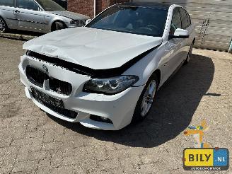 Purkuautot passenger cars BMW  F10 518D Alpinewiess 3 2014/1