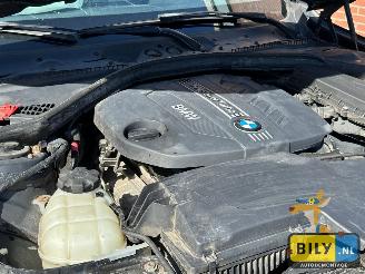 BMW 3-serie F31 320D N47 mineral-grau metallic picture 19