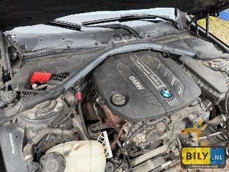 BMW 3-serie F31 320XD N47D20C Black sapphire metallic picture 11