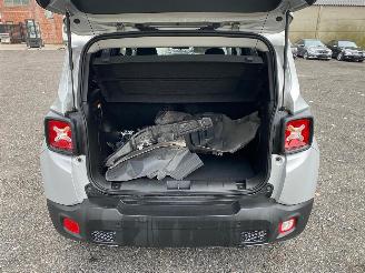 Jeep Renegade  picture 16