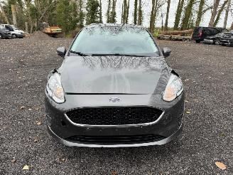 Ford Fiesta TREND picture 9