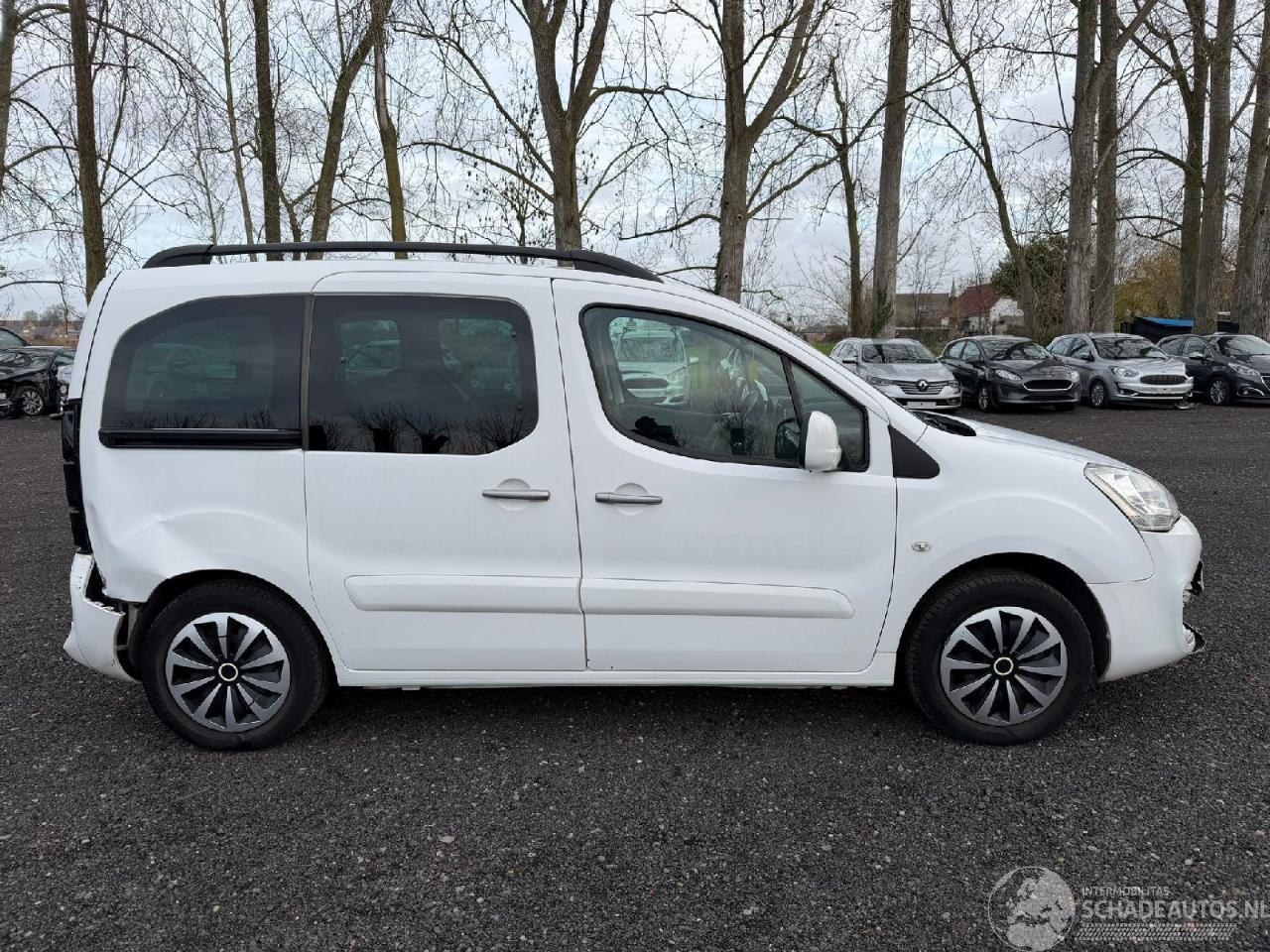 Citroën Berlingo 1.6 HDI