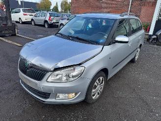 Damaged car Skoda Fabia  2011/1