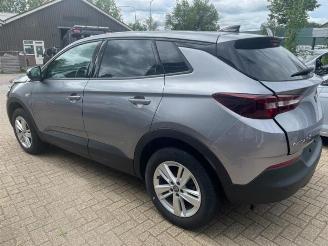 Opel Grandland Grandland (X), SUV, 2017 1.5 CDTI 130 picture 3