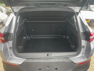 Opel Grandland Grandland (X), SUV, 2017 1.5 CDTI 130 picture 11