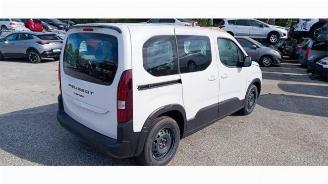 Peugeot Rifter Rifter (ER/EC/EZ), MPV, 2018 e-Rifter picture 3