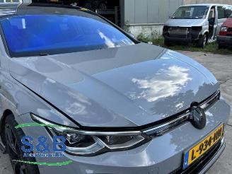Volkswagen Golf Golf VIII (CD1), Hatchback, 2019 1.5 eTSI 16V picture 13
