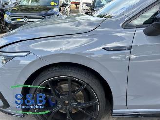 Volkswagen Golf Golf VIII (CD1), Hatchback, 2019 1.5 eTSI 16V picture 35