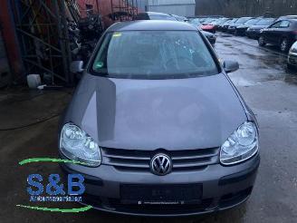 Purkuautot passenger cars Volkswagen Golf Golf V (1K1), Hatchback, 2003 / 2010 1.4 16V 2005/12