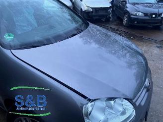 Volkswagen Golf Golf V (1K1), Hatchback, 2003 / 2010 1.4 16V picture 20