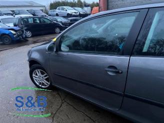 Volkswagen Golf Golf V (1K1), Hatchback, 2003 / 2010 1.4 16V picture 6