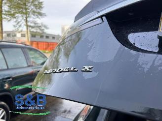 Tesla Model X Model X, SUV, 2013 100D picture 34