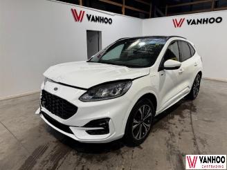 skadebil auto Ford Kuga  2023/7