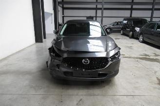 Mazda CX-30 SUV picture 7