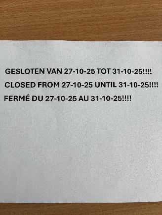 krockskadad bil auto Audi  GESLOTEN 27/10/25 - 31/10/25 2025/1