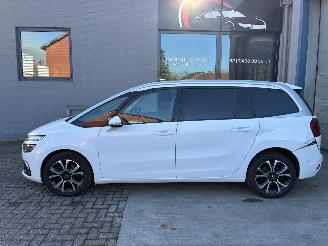  Citroën C4 Citroen c4 1.5d 2019 7 zit 2019/12
