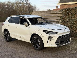 Unfallwagen Cupra Terramar VZ 1.5 eTSI 110kw 2025/1