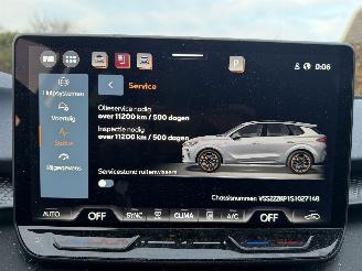 Cupra Terramar VZ 1.5 eTSI 110kw picture 35