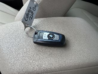 BMW 2-serie 218i M PAKKET CABRIO picture 31