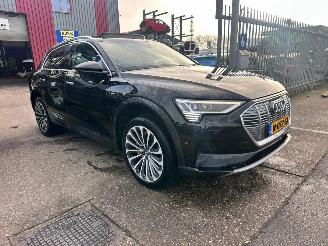 Audi E-tron 55 QUATTRO 95KWH PRO LINE PLUS picture 3