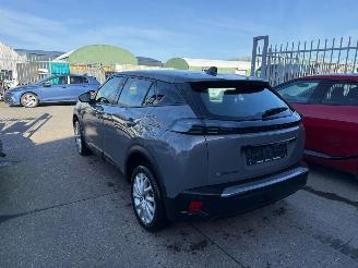 Peugeot 2008 e-2008 II Active picture 6