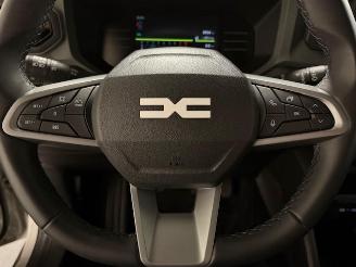 Dacia Duster  picture 20