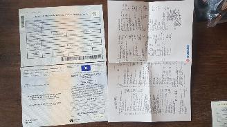 Suzuki Swift  picture 21