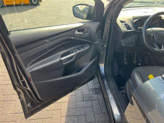 Ford Kuga 1.5TDCI Titanium  2019 picture 18