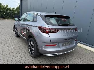 Vaurioauto  passenger cars Opel Grandland X PHEV 165KW Hybrit 2023/11