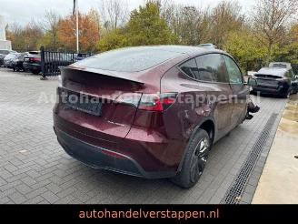 Tesla Model Y Long Range Dual AWD Panorama picture 5