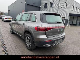 Damaged car Mercedes EQB 250+ 140KW Business Solution 2024/6