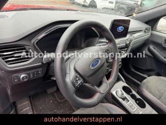 Ford Kuga Plug-In Hybrid ST-Line X picture 16